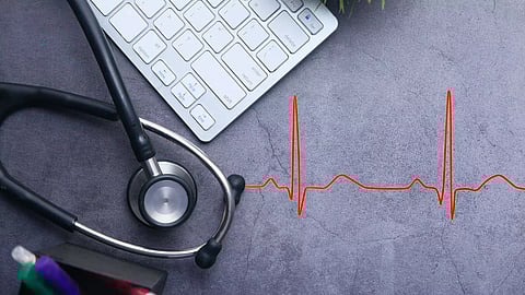 Image courtesy: canva