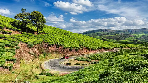 Kerala to seek Centre's approval for UAE-promoted tourism township at Idukki