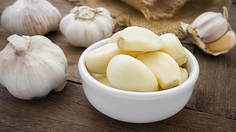 Garlic at record prices; Production decreased