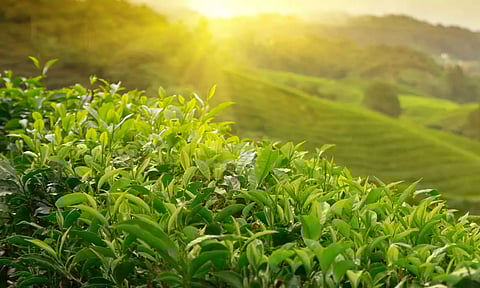 രണ്ട് ഏറ്റെടുക്കലുകള്‍ ഈ കമ്പനിയെ ശക്തമാക്കും, ഓഹരിയില്‍ മുന്നേറ്റ സാധ്യത