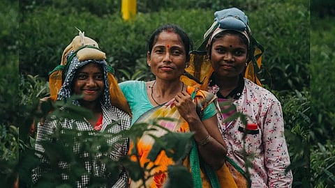 Image courtesy: canva