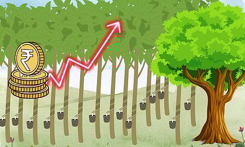 Rubber Trees Animated Pics, Rupee up