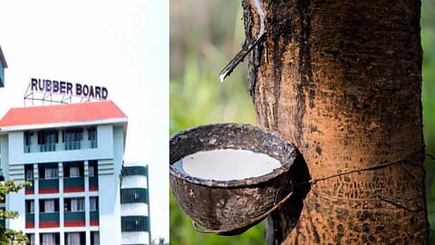 റബര്‍ ബോര്‍ഡ് ചെയര്‍മാന്‍ വിരമിച്ചിട്ട് നാലു മാസം, പുതിയ മേധാവിയില്ല; അല്ലെങ്കിലും കര്‍ഷകര്‍ക്ക് എന്തു ഗുണം?