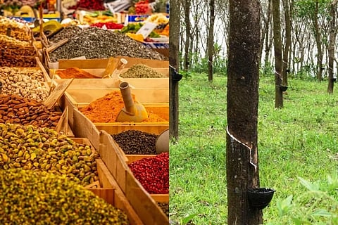 2020ല്‍ കമ്മോഡിറ്റി വിലകള്‍ ഇടിയും, റബര്‍, കുരുമുളക്, ഏലം കര്‍ഷകരുടെ പ്രതിസന്ധി രൂക്ഷമായേക്കും