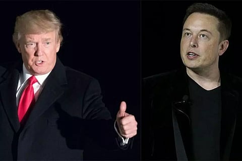 Donald trump and Elon Musk