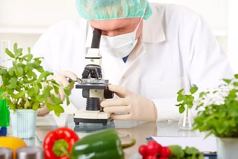 ഭക്ഷ്യോല്‍പാദന, വിതരണ സ്ഥാപന പരിശോധനയ്ക്ക് സ്പെഷ്യല്‍ സ്‌ക്വാഡ് വരും