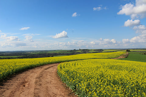 Smart agriculture technologies can enhance crop yields
