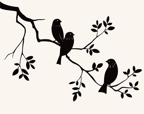Intelligence of Birds