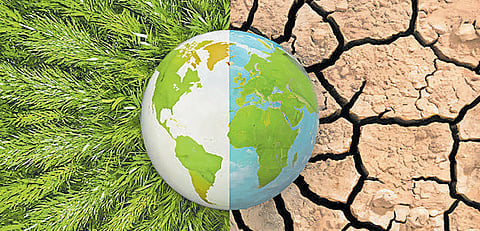 Oldest climate fund plans wildlife bonds across Africa