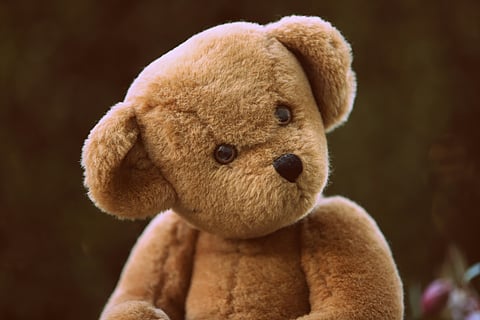 QUIZ TIME: How well do you know teddy bear?