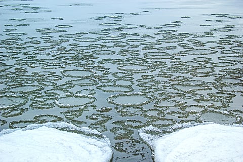 Why do lakes in Canada freeze in perfect circles?