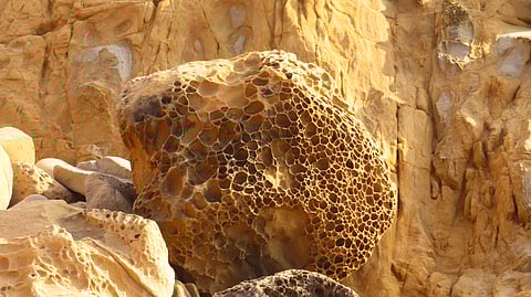 How can a cliff in Spain produce natural honeycomb patterns?