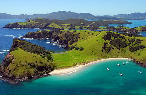 How can a beach in New Zealand sing when people walk across it?

