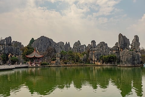 When stone grows in forests