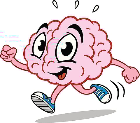 Study links intelligence to overall brain activity, not one region