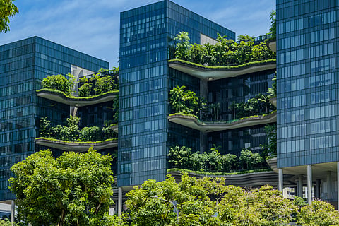 Why does Singapore have gardens growing on skyscrapers?