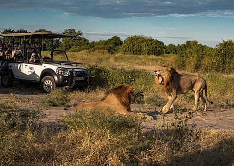 Diamonds Do Good Highlights Positive Impact of Natural Diamonds with First Botswana Tour