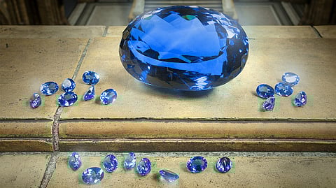 Image Courtesy: Natural History Museum