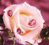 Natural Color Diamonds add Fascination to High-end Jewellery
