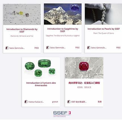 SSEF launches free online courses on major gems in English, French and ...