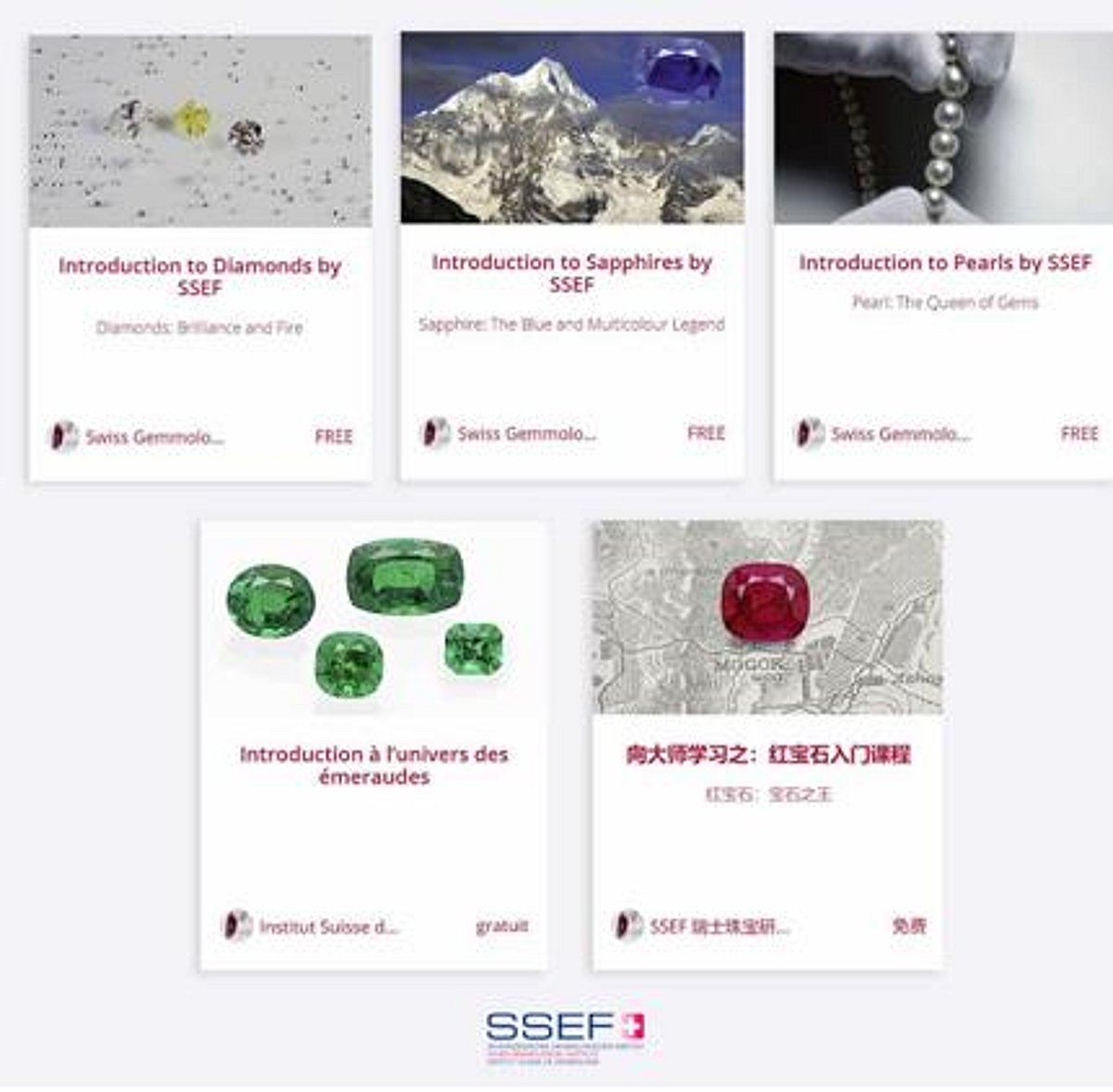 SSEF launches free online courses on major gems in English, French and ...