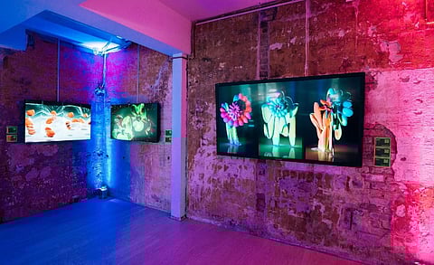 ViewSonic Joins Hands with Satellite to Bring Sydney’s First NFT Exhibition