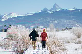 Winter at Tributary turns the landscape into an open invitation for guided exploration, just minutes from Grand Teton National Park