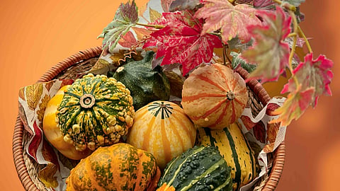 Must-Have Spirits for Thanksgiving