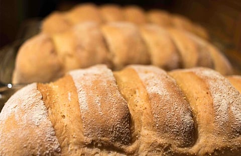 Photo by Lavi Perchik on Unsplash