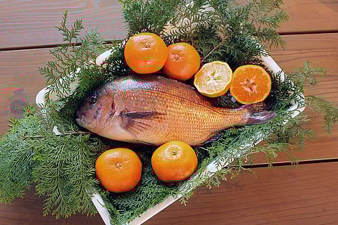 Feeding Fish Oranges and Chocolate in Japan