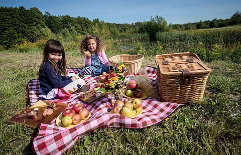 Spirit Tree Estate Cider, Caledon, Photo Courtesy of Central Counties