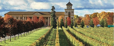 Italian Food, Wine and Culture in Niagara