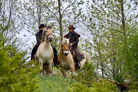 Mantracker in Waterloo