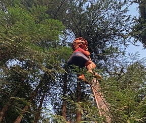 SkyTrek Adventure Park. PHOTO BY ADAM WAXMAN / DINE AND DESTINATIONS
