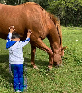 Horse whispering. PHOTO BY ADAM WAXMAN / DINE AND DESTINATIONS