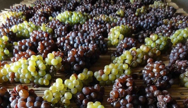 Appassimento: To Dry Or Not To Dry