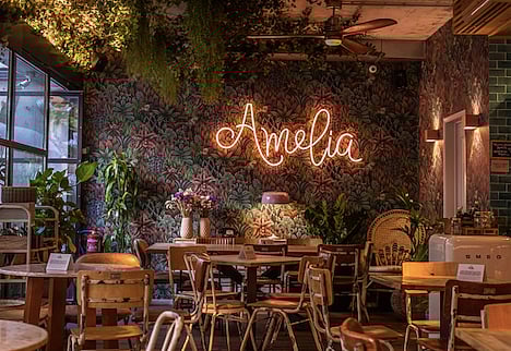 Amélia Lisboa transforma-se em palco de talentos por um dia