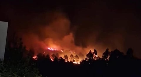 "Há mão criminosa". Seis incêndios ativos no distrito de Viana do Castelo
