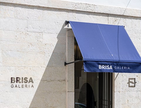 Brisa Galeria recebe inauguração nesta quinta. 