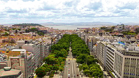 Visitas guiadas, workshops e exposições na Avenida Open Week