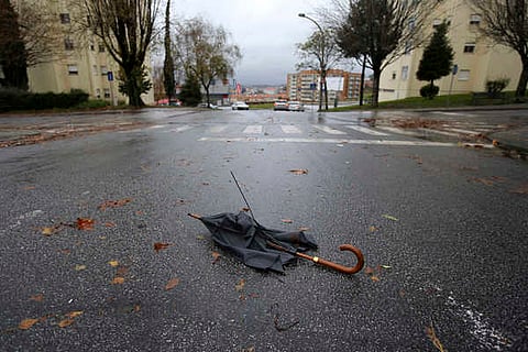 Proteção Civil registou 43 ocorrências devido à chuva e vento, a maioria na Península de Setúbal
