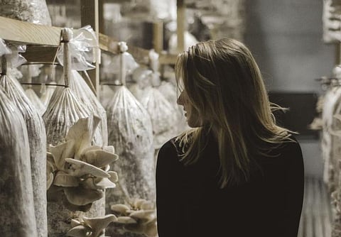 Fotografia de Portugal entre as vencedoras de concurso do Pacto Climático Europeu