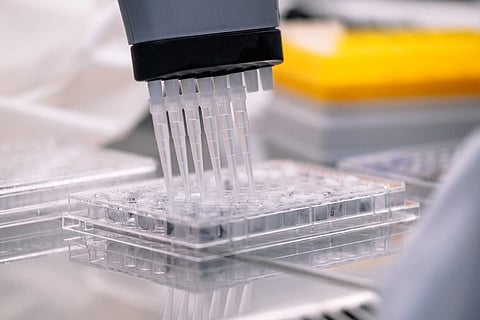 Cientistas criam nova forma de divisão celular que pode vir a revolucionar tratamentos de infertilidade