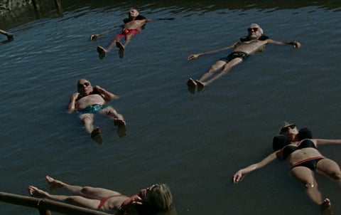 Imagem de "A solidão dos lagartos", de Inês Nunes,