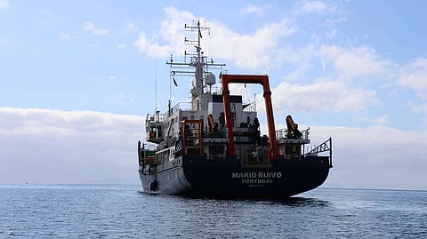 Portugal vai criar primeiro banco genético de espécies marinhas do século XXI