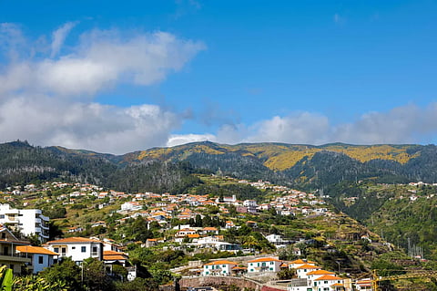 Sete feridos do despiste de viatura turística na Madeira já foram resgatados