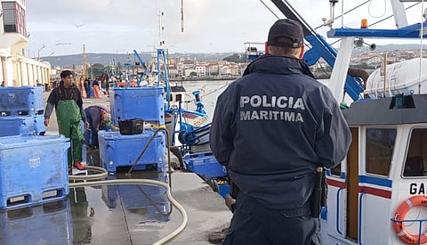 Polícia Marítima detetou 12 infrações em operação de fiscalização "Sardinha 25"