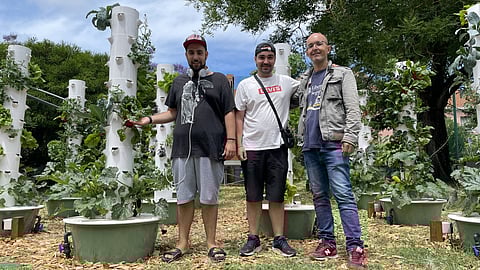 Xavier, Sérgio e Edgar, utentes do Serviço Regional de Psiquiatria Forense do Hospital Júlio de Matos que agora cuidam da horta da unidade.