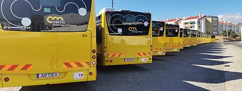 Transportes Metropolitanos de Lisboa prometem “cabal esclarecimento” sobre queixa de racismo