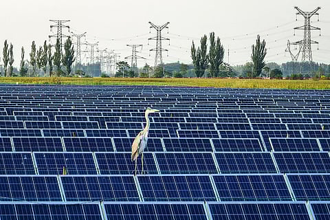 Energia solar representa 10% do consumo de energia elétrica em Portugal.